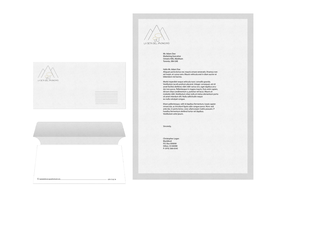 Mock up factura